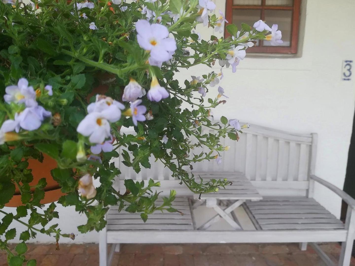 Kaijaiki Country Inn And Restaurant Yzerfontein Cameră foto